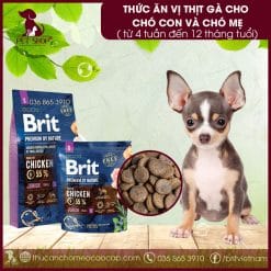 Brit Premium by Nature Junior S