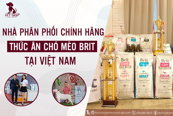 nhà phân phối thức ăn chó mèo Brit chinh hãng