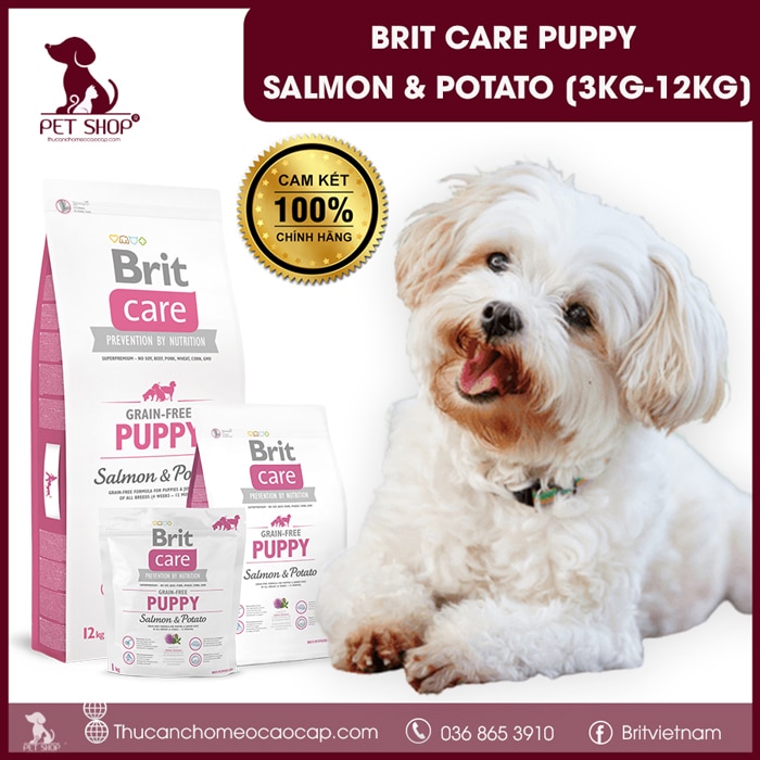 thức ăn cho chó poodle con
