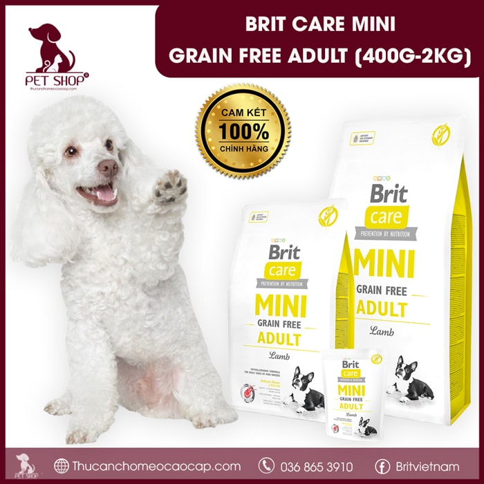 thức ăn hạt cho chó poodle trưởng thành