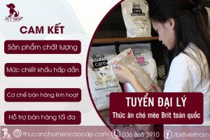 Tuyển đại lý thức ăn chó mèo Brit