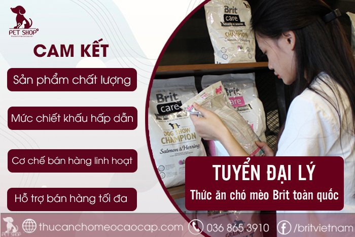Tuyển đại lý thức ăn chó mèo Brit
